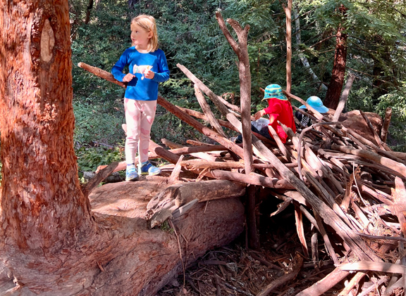 Children build & play with stick fort in the woods