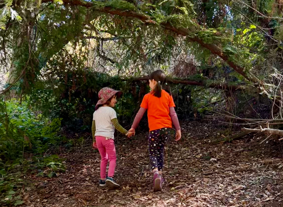 Kindergarten children playing & holding hands in the woods