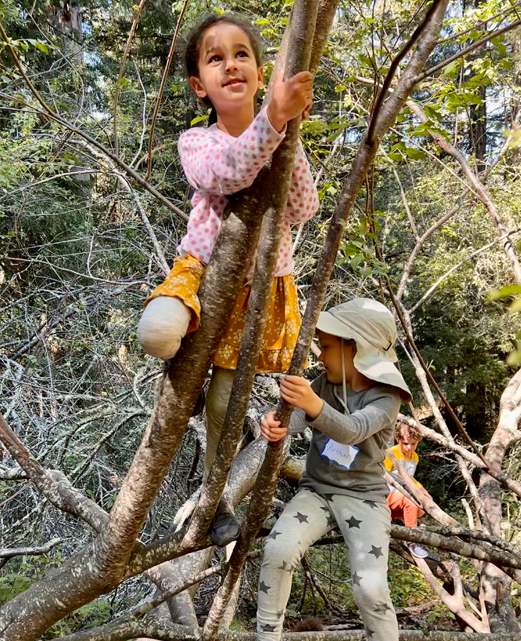 Kindergarten children climbing trees