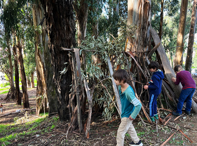 Third grade students build a shelter in the forest